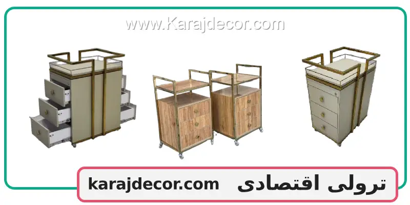 ترولی اقتصادی