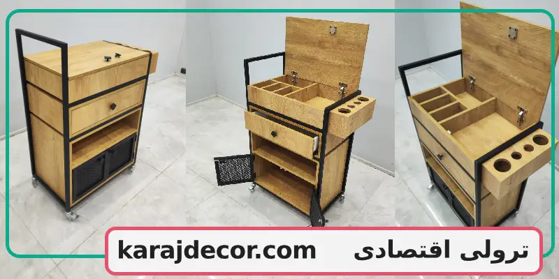 ترولی اقتصادی